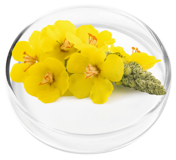 ingredient3-1.png