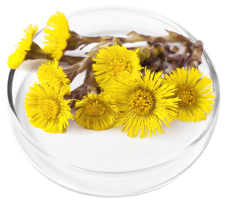 ingredient4-1.png