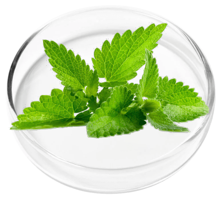 ingredient6-1.png